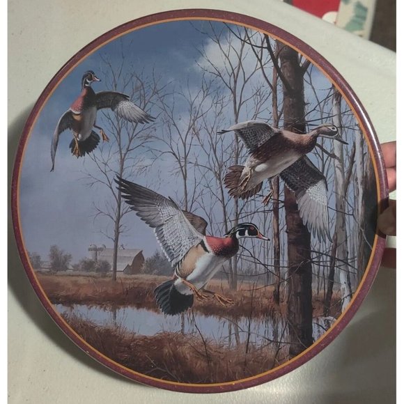 Vtg Dave Maass Duck 9.75" Round Tin Lake City Minnesota Wild Wings Artwork Rare - Picture 15 of 16